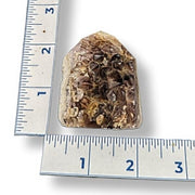 Amethyst tower next to a ruler on a white background