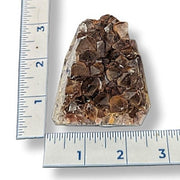 Amethyst next to a ruler on a white background