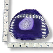 Purple agate slice with a ruler for scale on a white background