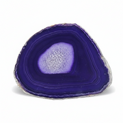 A polished slice of deep purple agate with concentric bands and a lighter lavender-purple central cavity, photographed on a clean white background.