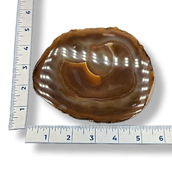 Brown Agate Slice 182g Approximate