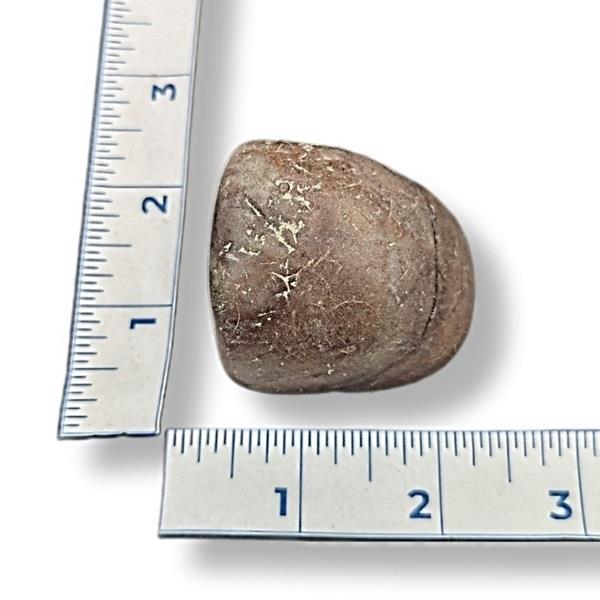 Gastrolith Specimen