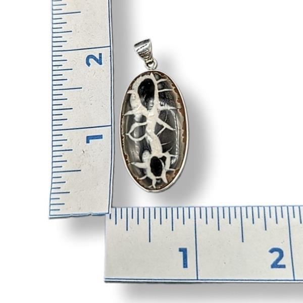 Pendant Septarian Sterling Silver