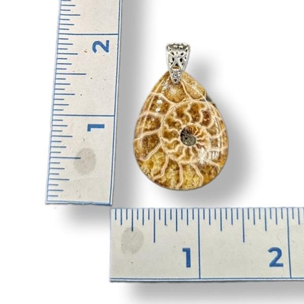 Pendant Ammonite