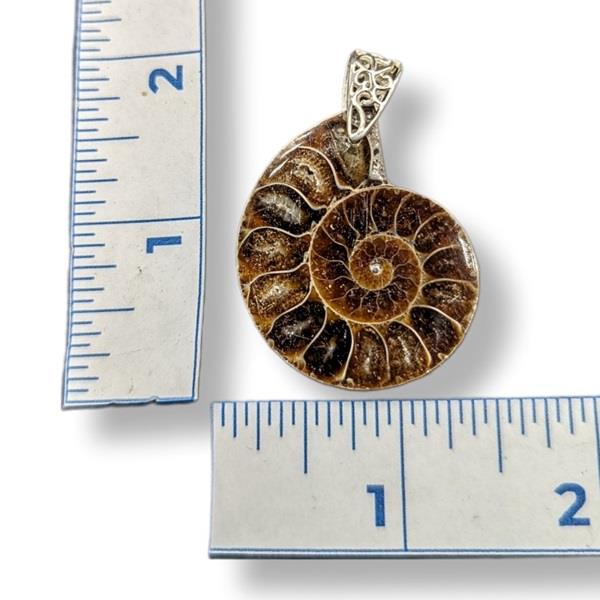 Pendant Ammonite