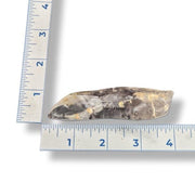 Rock sample with a ruler showing its size on a white background