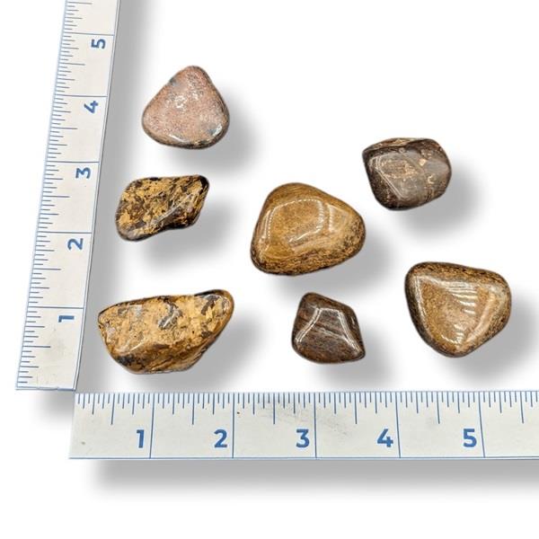 Set of rocks with a ruler for scale on a white background