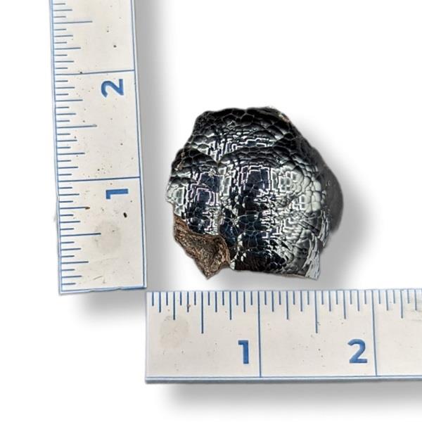 Botrodyl Hematite 62g Approximate