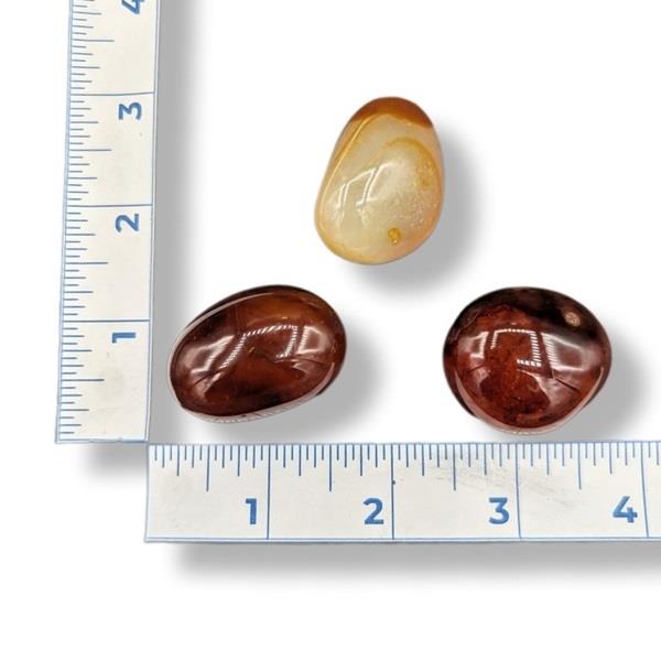 Carnelian Tumbled 24g Approximate