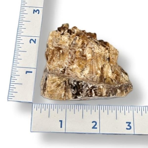 Chocolate Calcite Rough 170g Approximate