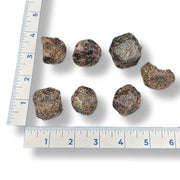 Seven dark garnet rocks of various sizes on a white background with a ruler for scale.