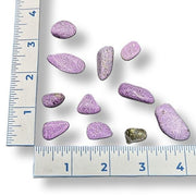 A collection of polished tumbled stitchite gemstones of varying sizes, placed on a surface with a measuring tape for scale.
