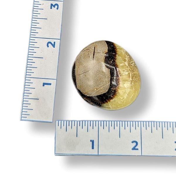 Septarian Tumbled 44g Approximate