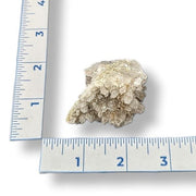 A smokey quartz cluster next to a ruler for scale, showing the geological formation and translucent crystals.