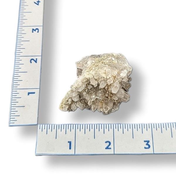 A smokey quartz cluster next to a ruler for scale, showing the geological formation and translucent crystals.