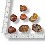Carnelian tumbled stones on a white background with rulers for a size comparison