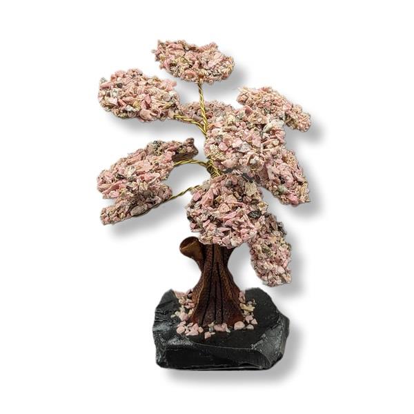 Rhodonite Gemstone Tree of Black Onyx