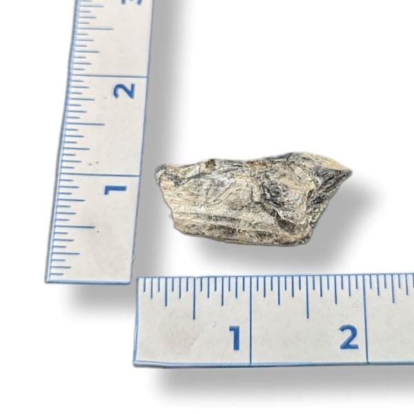 Molybdenite Rough 48g Approximate