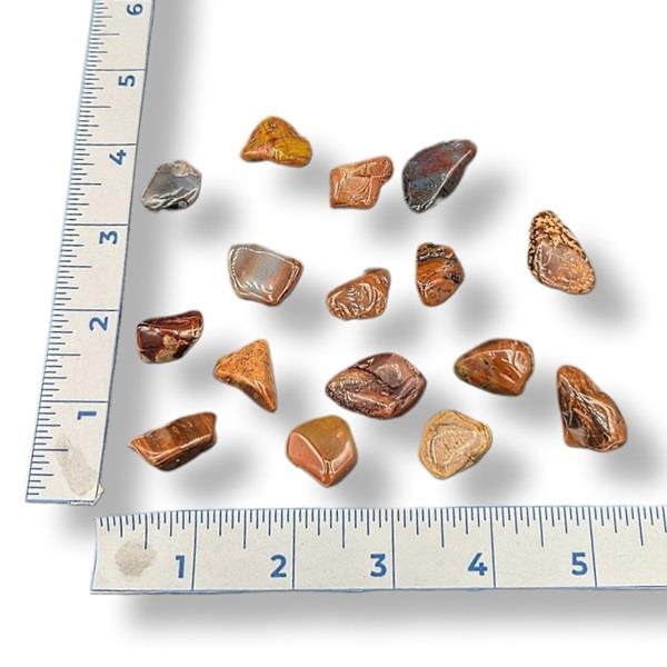 red silver leaf jasper tumbled on a white background with rulers for size