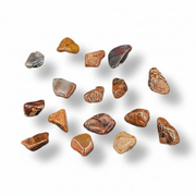 red silver leaf jasper tumbled on a white background