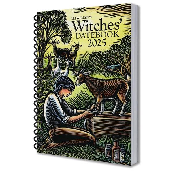 2025 Datebook: Llewellyn's 2025 Witches' Datebook