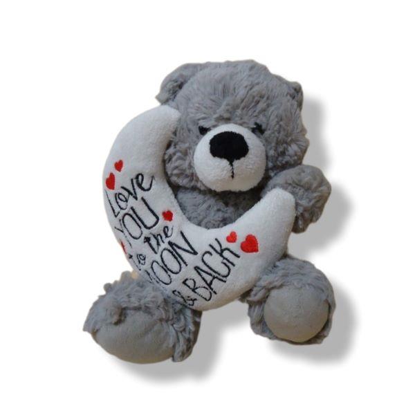 Plush Grey Teddy Love you to the Moon