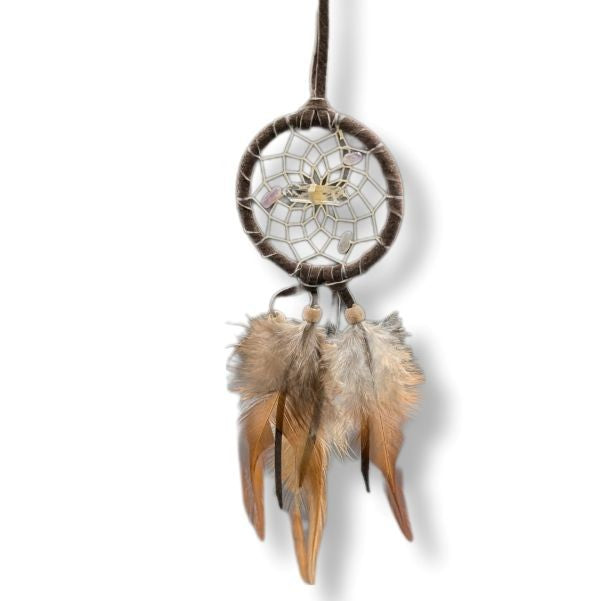 Dreamcatcher Vision Seeker Dark Brown