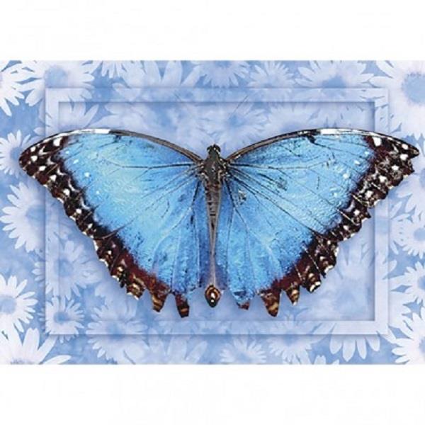 Greeting Card Butterfly #1 | Earthworks