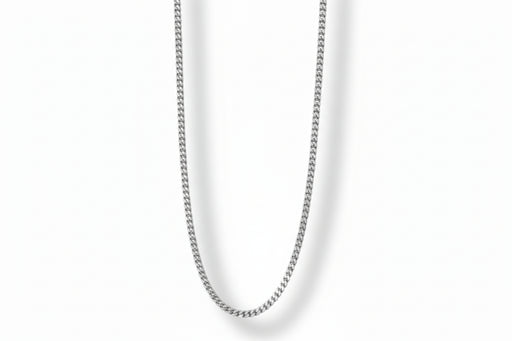 20" Sterling Silver Chain Curb | Earthworks 