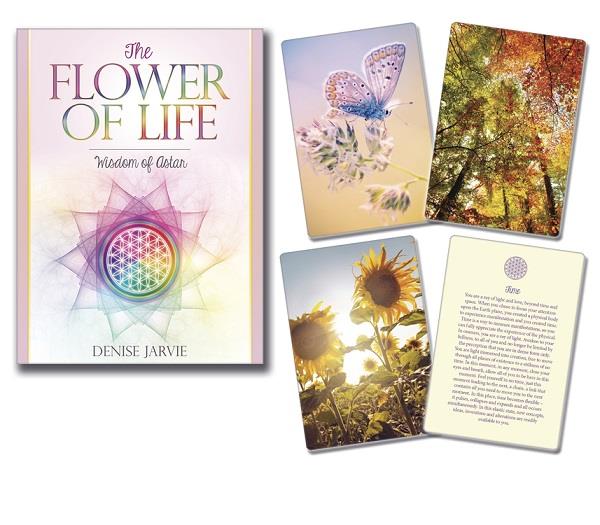 The Flower of Life | Earthworks