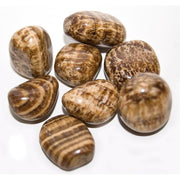 Brown marbled stones on a white background