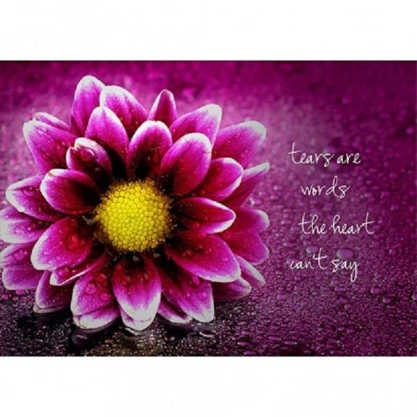 Greeting Card Tears Are Words | Earthworks