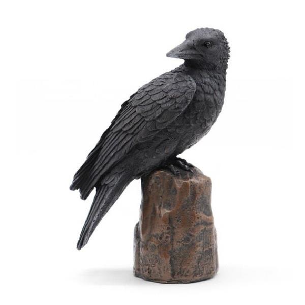 Raven