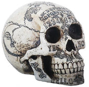 Decorative skull with engravings on a white background