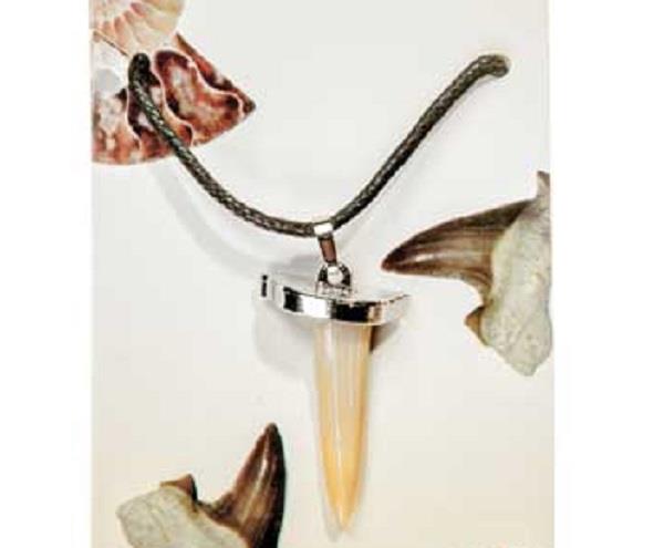 Pendant Shark Tooth