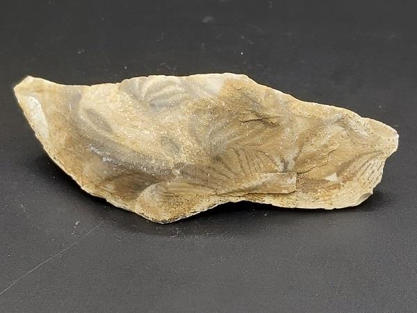 Flint Rough 73g Approximate