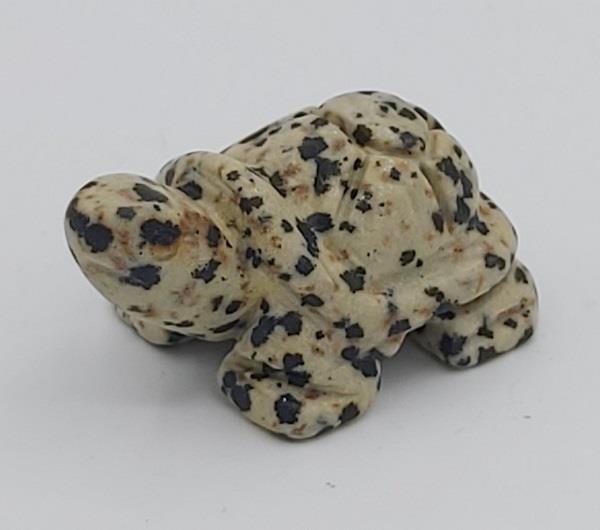 Dalmation Stone Turtle