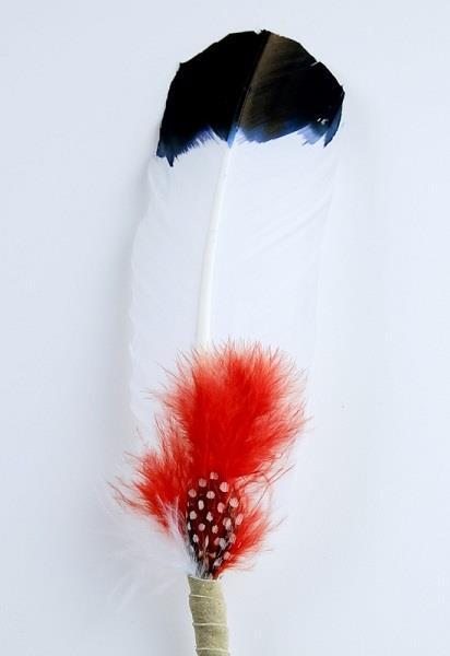 Turkey Quill Smudge Feather Insight