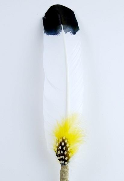 Turkey Quill Smudge Feather Clarity
