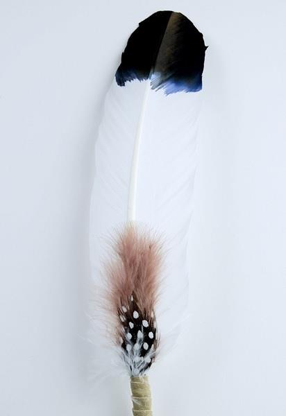Turkey Quill Smudge Feather Ancestry