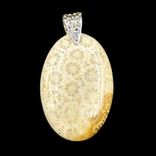 1.75" Pendant Fossil Coral | Earthworks