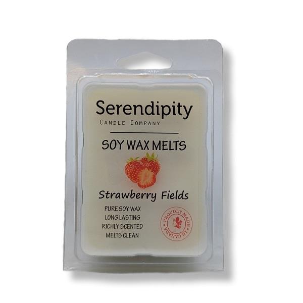 Soya Wax Melts Strawberry Fields | Earthworks